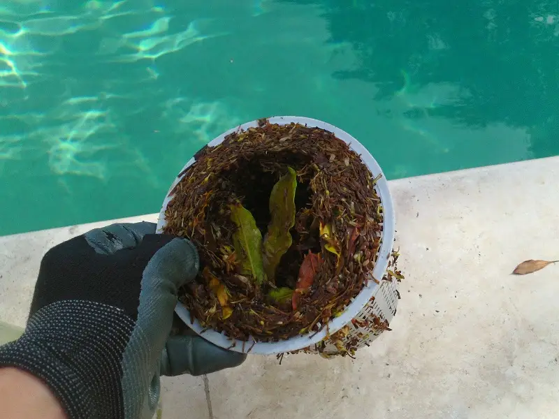 Emptying skimmer baskets