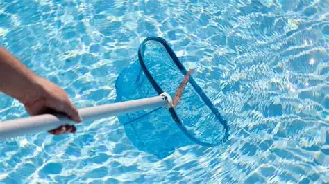 Skimming the pool surface